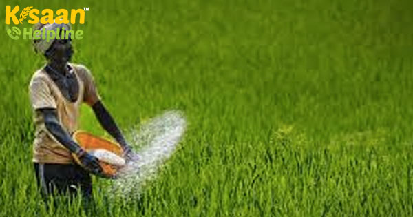 उड़ीसा के किसान व्यापारियों के स्टॉक के रूप में यूरिया के लिए 50% अधिक भुगतान करते हैं